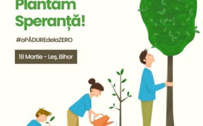 Plantăm o pădure de la zero